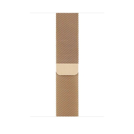 Apple Watch 42 / 44 / 45 / 49 mm Hoco WA03 simple beauty Mailänder Riemen gold