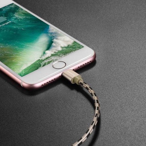 Borofone BX24 lightning Kabel, Stoff, 1m, gold