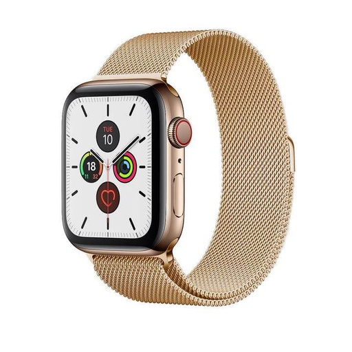 Apple Watch 42 / 44 / 45 / 49 mm Hoco WA03 simple beauty Mailänder Riemen gold