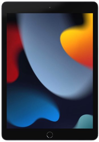 Apple iPad 10.2 2021 9.Gen 64GB WiFi - Grau