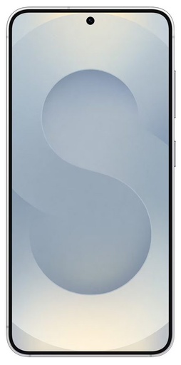 Samsung S931B Galaxy S25 5G Dual 256GB (Silber) - 12GB RAM