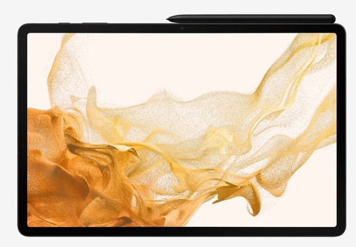 Samsung X806 Galaxy Tab S8+ 5G (Grau)